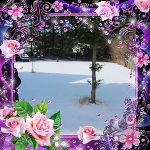 Meet your Posher, An